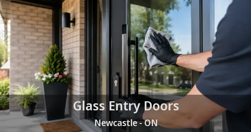 Glass Entry Doors Newcastle - ON