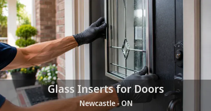 Glass Inserts for Doors Newcastle - ON