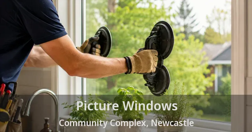 Picture Windows Community Complex, Newcastle - ON