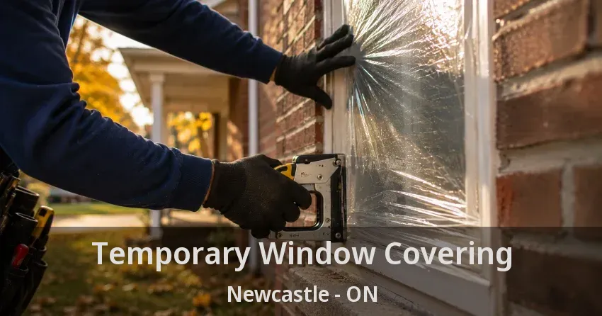 Temporary Window Covering Newcastle - ON